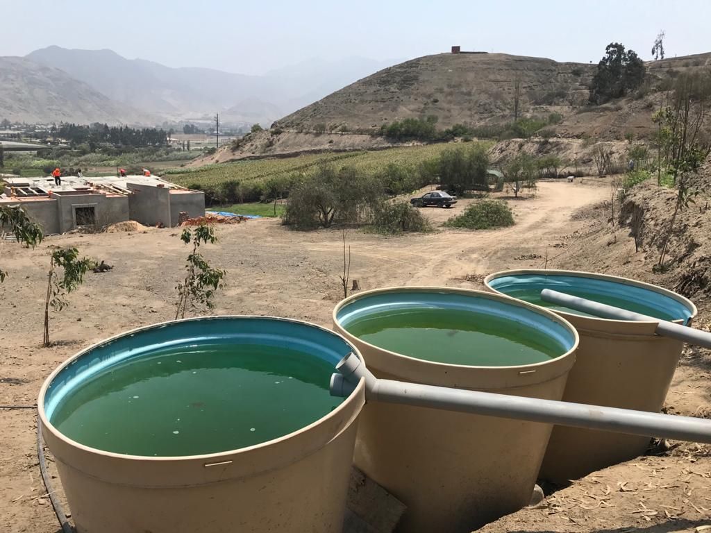 Pachacamac, Peru, Outubro 2020