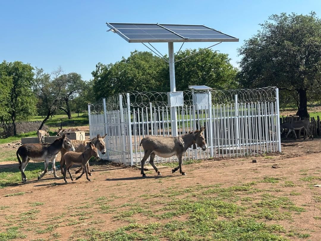 Zvikuyu village, Zimbabue, Enero 2026