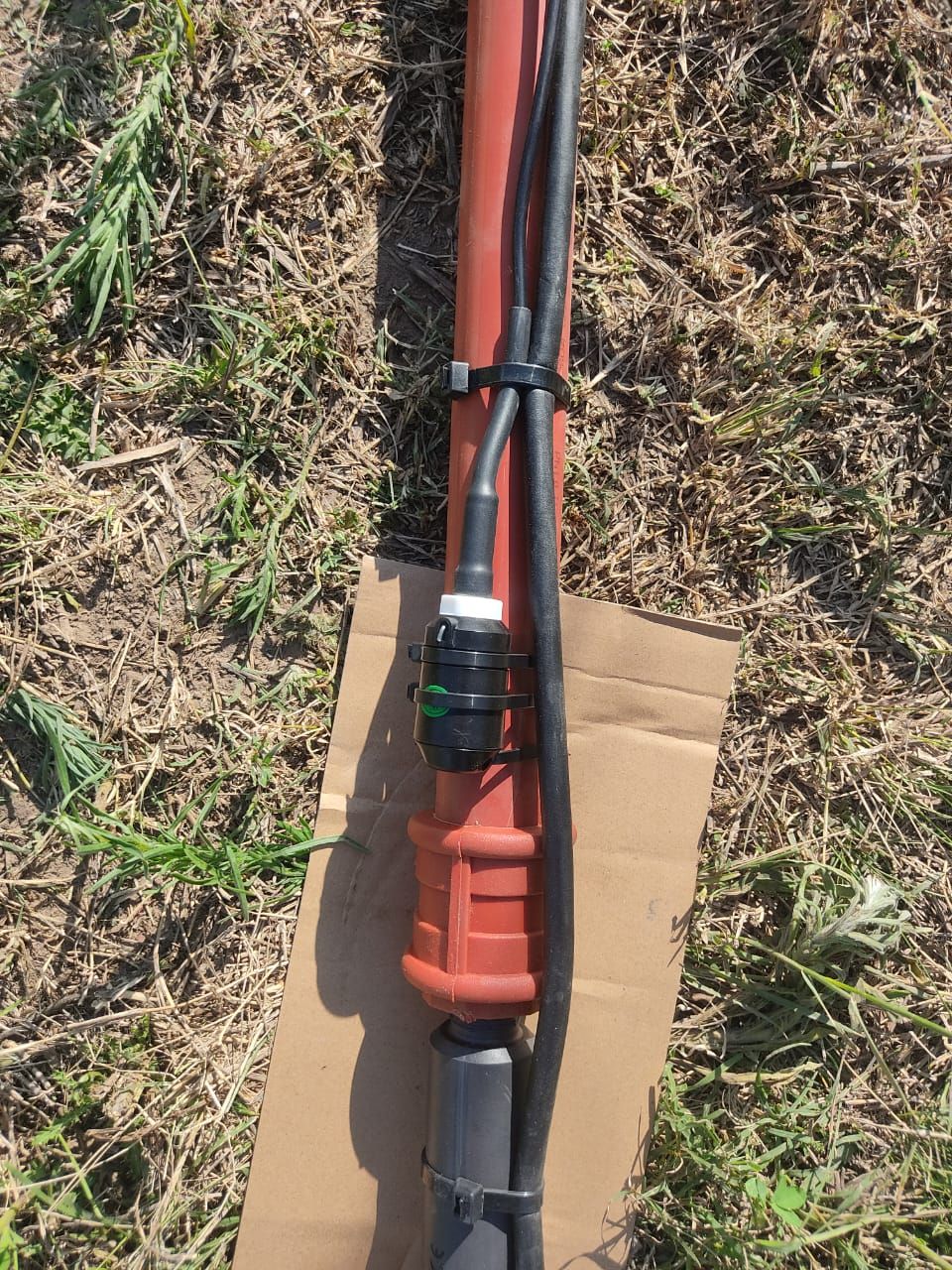 Germania, Argentine, Decembre 2023