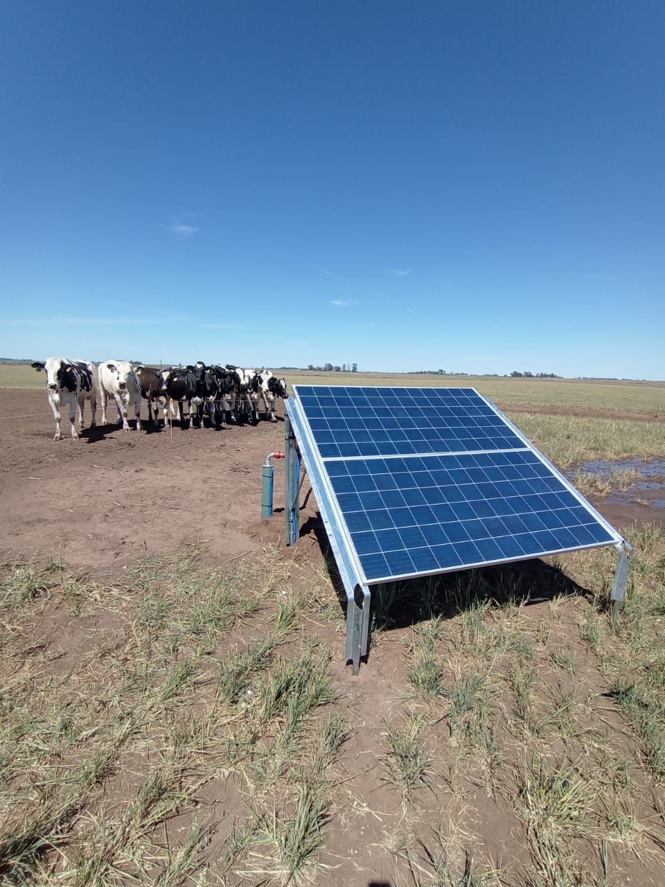 Trenque Lauquen, Argentine, Octobre 2024