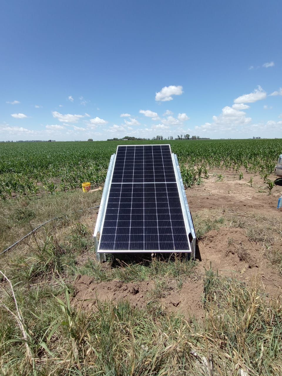 Pellegrini, Argentine, Decembre 2024