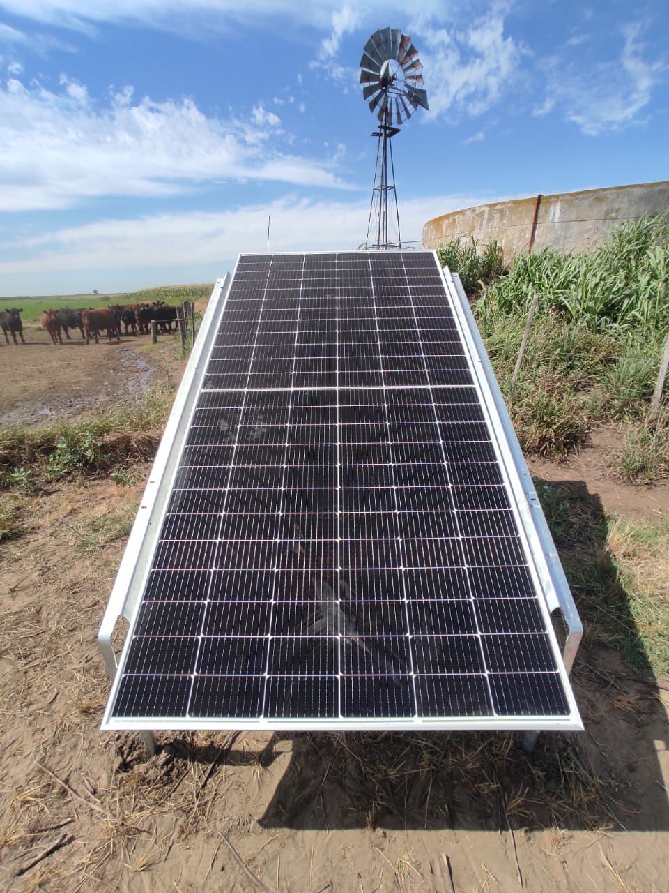 Bolivar, Argentine, Janvier 2025