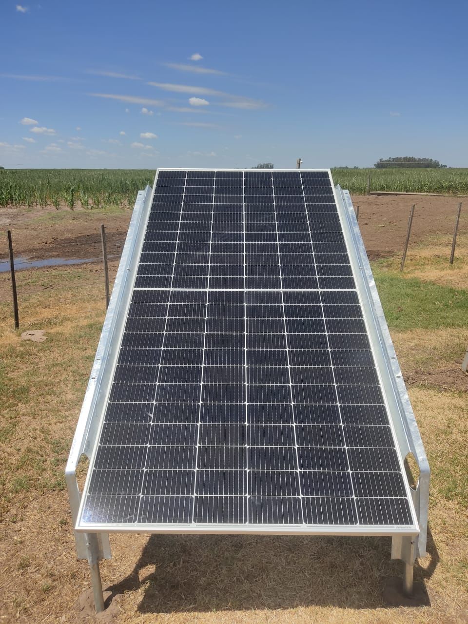 Ohiggins, Argentine, Janvier 2025