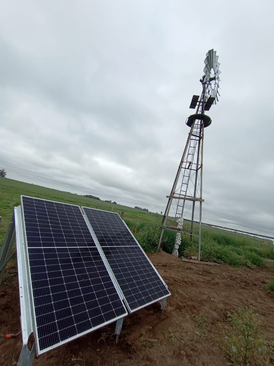 La bellaca, Argentine, Février 2025