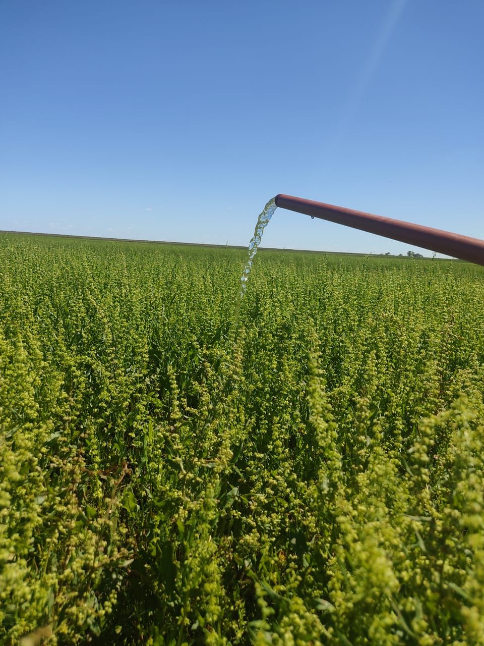 America, Argentine, Octobre 2025