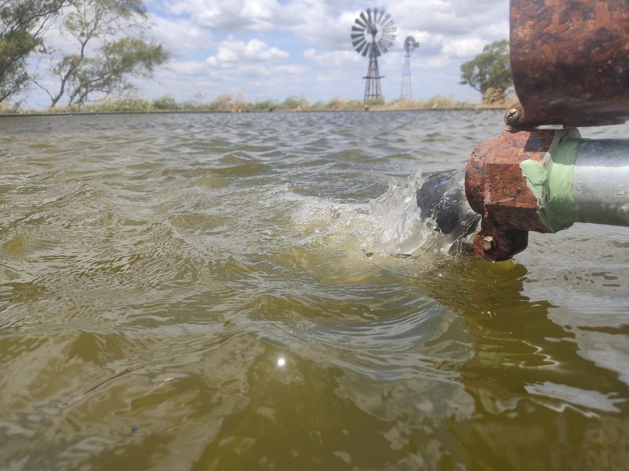 Francisco de Vitoria, Argentine, Octobre 2025