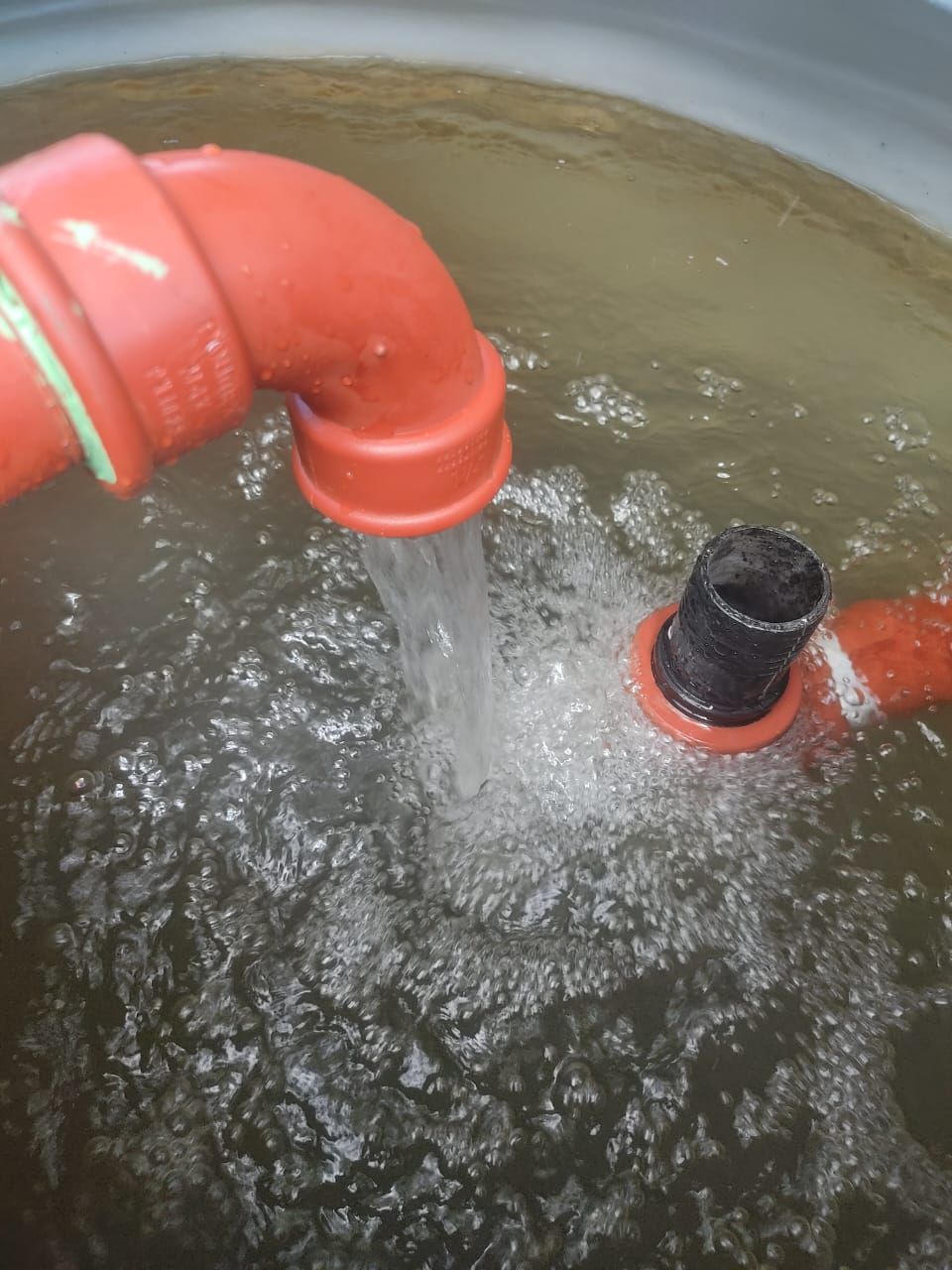 De Bary, Argentine, Novembre 2025