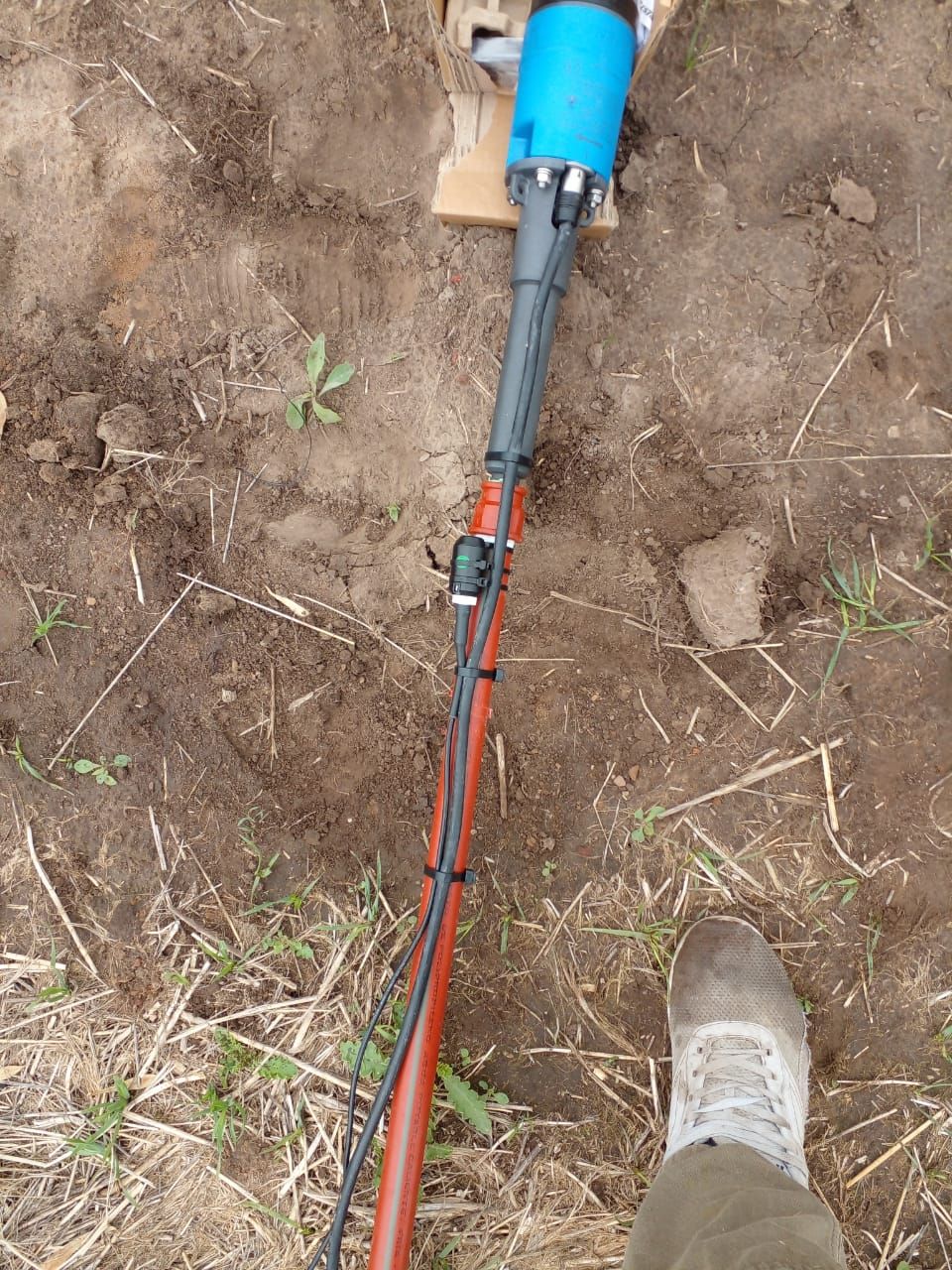 Carlos Tejedor, Argentine, Novembre 2025