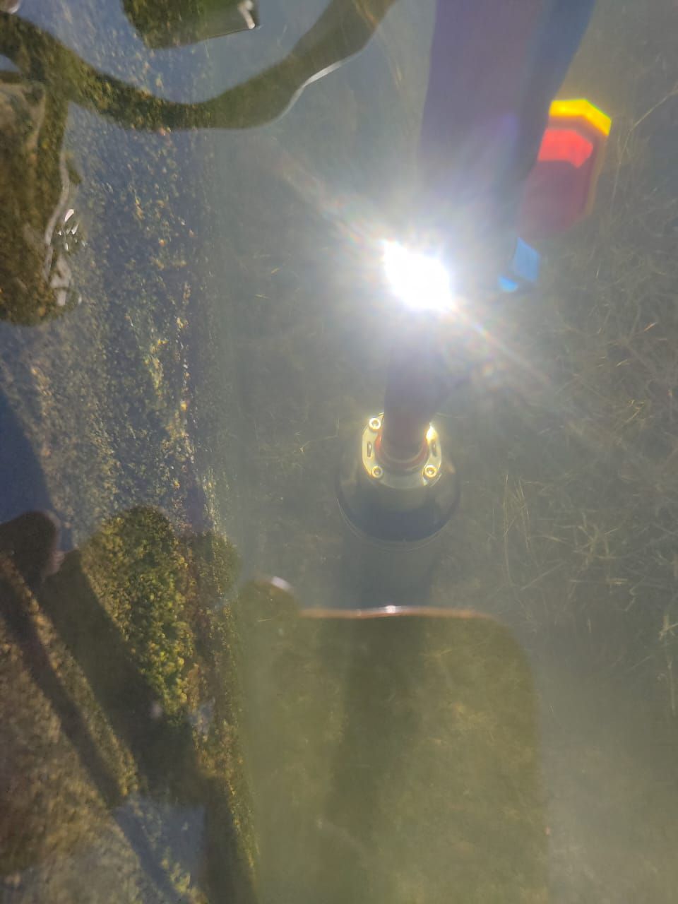 San Joaquin, Argentine, Decembre 2025