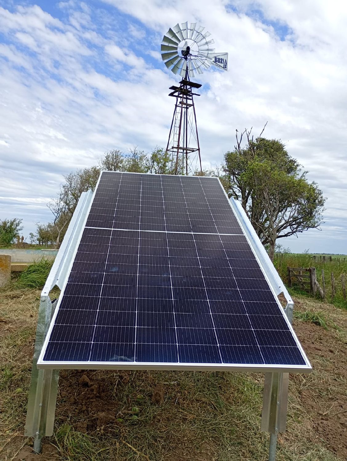 Pincen, Argentine, Février 2026