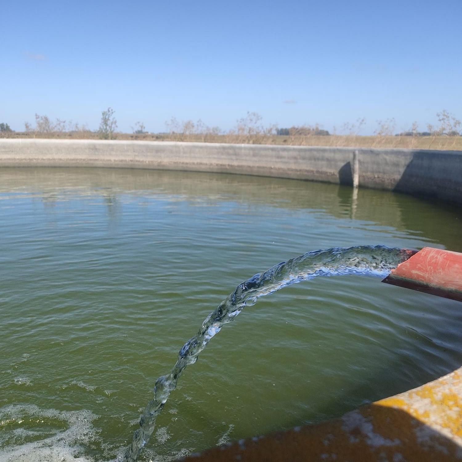 Bolivar, Argentina, Fevereiro 2026