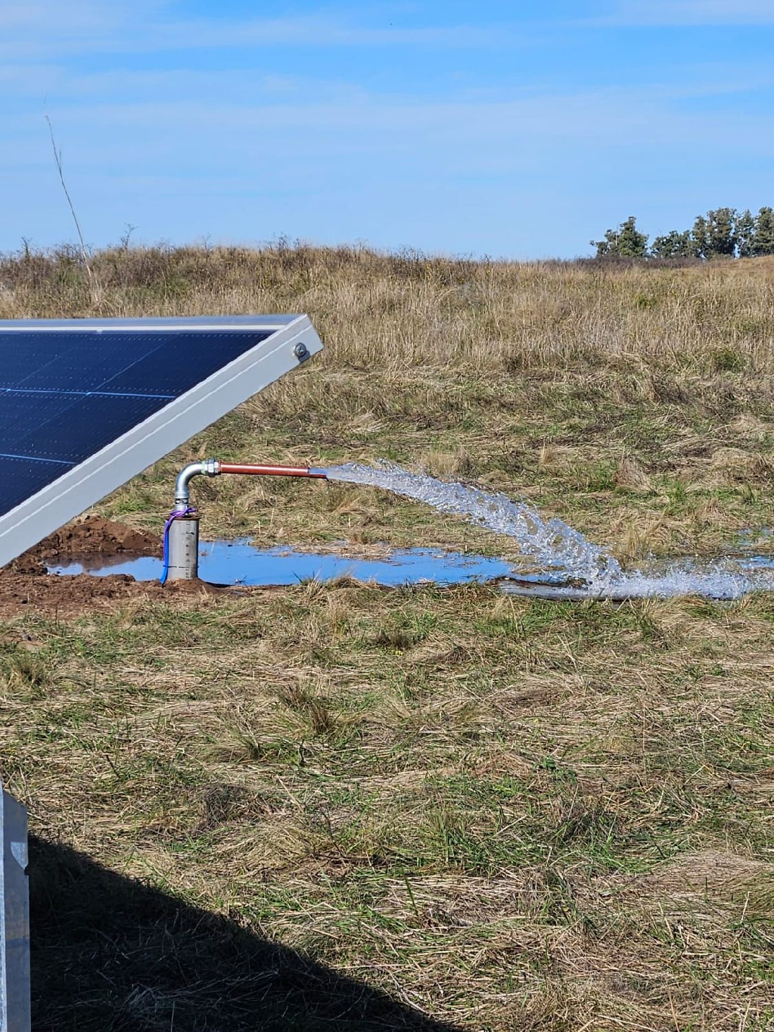 Tres Lomas, Argentina, April 2026