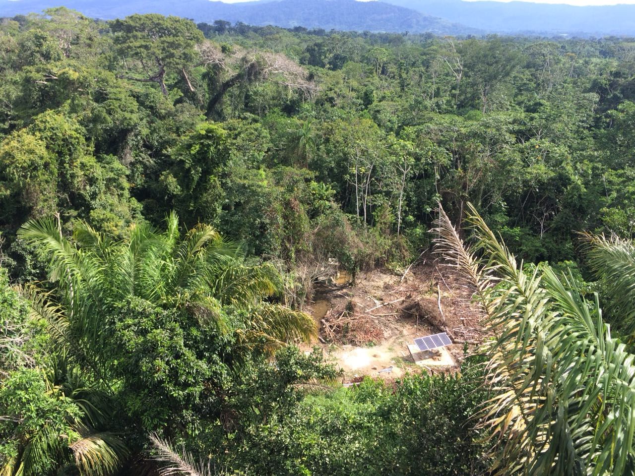 Ucayali, Peru, Fevereiro 2018